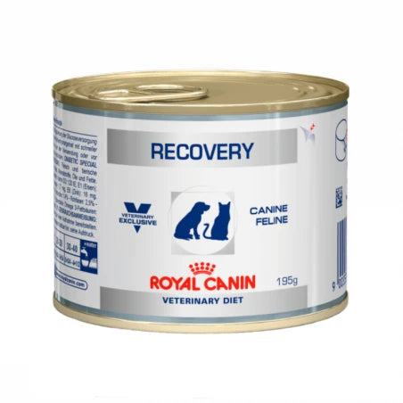 Royal Canin Recovery Gato Húmeda 195gr