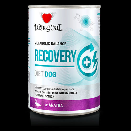 Disugual Recovery Pato Alimentación Húmeda para Perros 400g