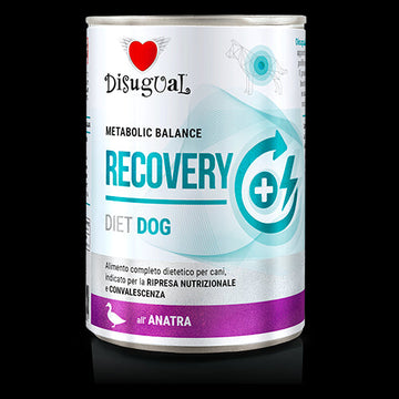 Disugual Recovery Pato Alimentación Húmeda para Perros 400g