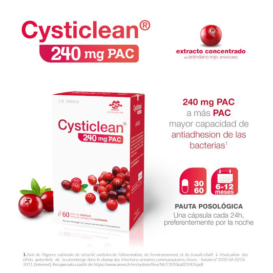 CYSTICLEAN 240mg PAC 60 Cápsulas
