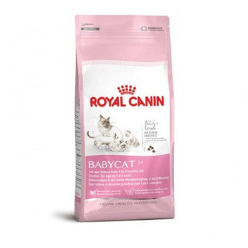 Royal Canin Mother &amp; Babycat 34 Dry Food 2Kg