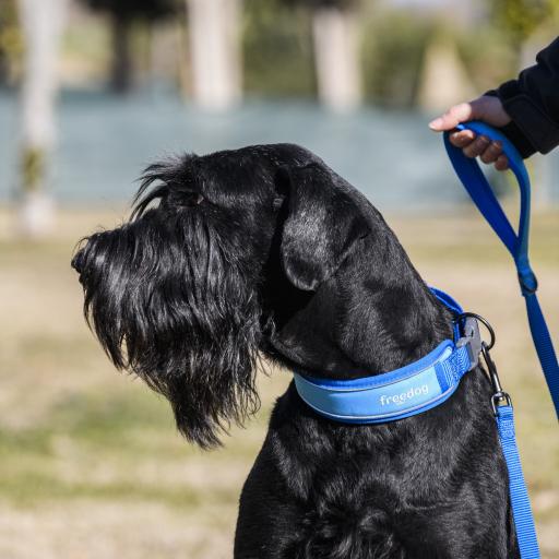 Freedog Collar Cool Pro Tech Azul 100g