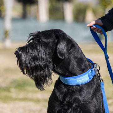 Freedog Collar Cool Pro Tech Azul 100g