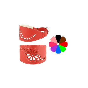 Youpet Collar Galgo Marting Filig Fuc 35-45 L450 A80 1un