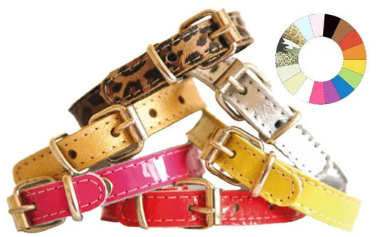 Youpet Collar Little Charol Fucxia 38-42 L450 A22 1un