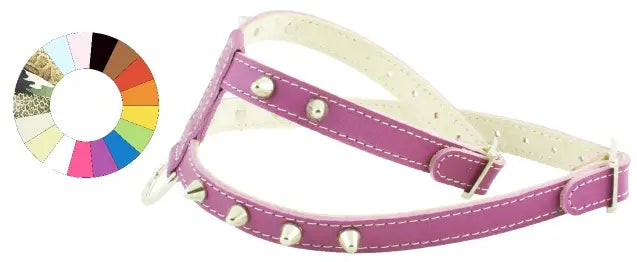 Youpet Arnes Little Co1F Plata A14 C250/14-20 P400/29-35 1un