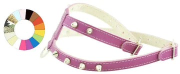 Youpet Arnes Little Co1F Plata A14 C250/14-20 P400/29-35 1un