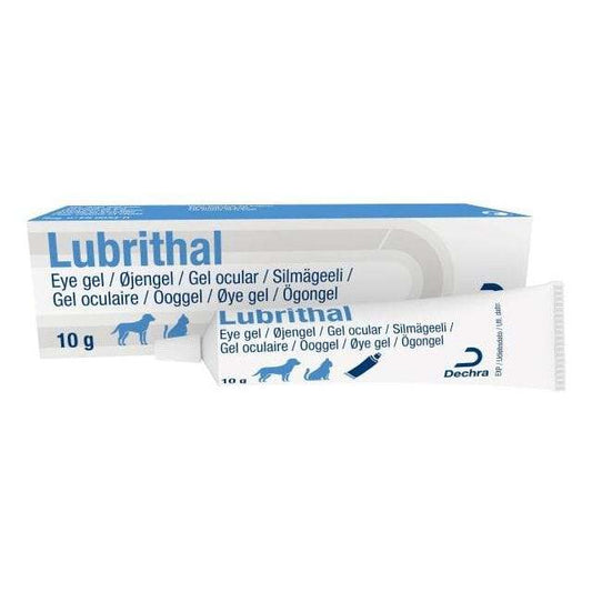 Dechra Lubrithal Gel Ocular 10g