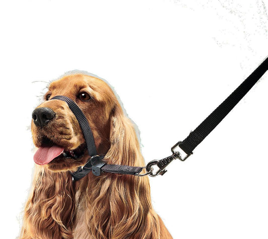 Beaphar Gentle Leader Collar de Cabeza para Perro L 1 ud