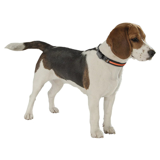 Ferplast Collar Solar Night Naranja Medium 156g