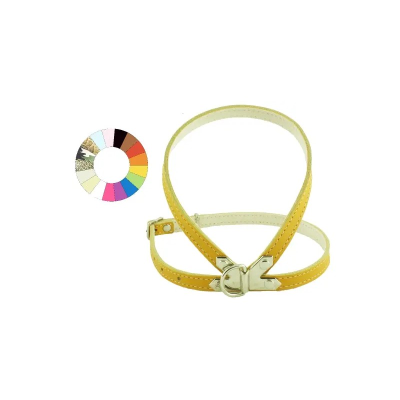 Youpet Petral Oro C450 A12 P600 1un