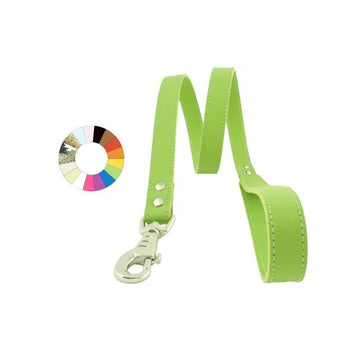 Youpet Correa Beach Celeste L1100 A22 1un