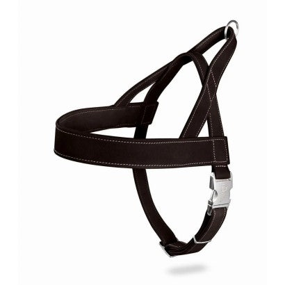 Youpet Arnes Little Fant Az A12 C200/14-17 P350/24-30 1un