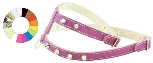 Youpet Arnes Little Co1F Leopardo A16 C350/24-30 P500/39-45 1un