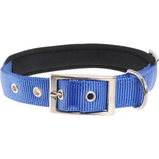 Ferplast Daytona Collar de Nylon Azul C30/55 1 ud