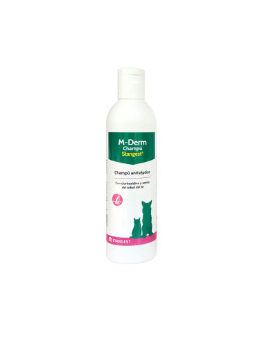 Stangest M Derm Champú Antiséptico 250ml