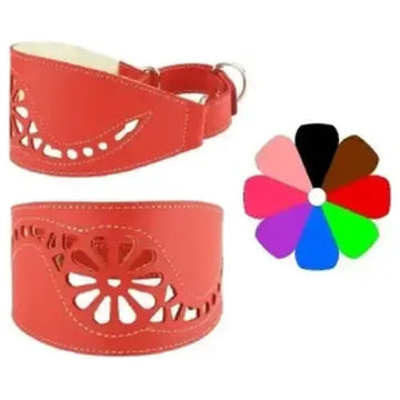 Youpet Collar Leather Galgo Marting Rj 25-35 L350 A80 1un