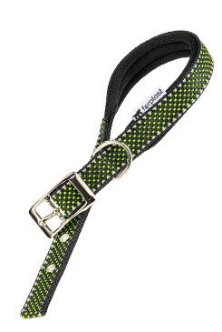 Ferplast Daytona Deluxe C25/53 Collar para Perros Verde 1 ud