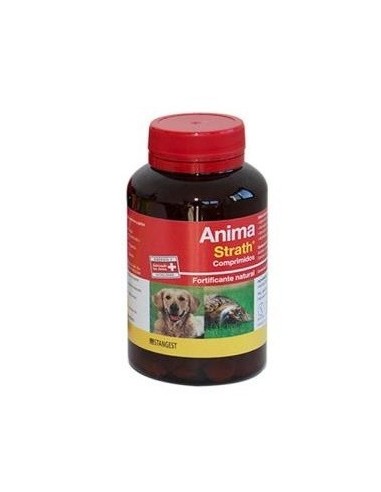 Stangest Anima Strath Suplemento 240 Cpd