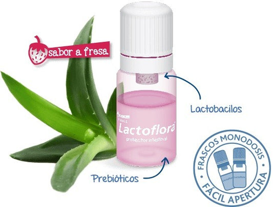 LACTOFLORA Protector Intestinal Infantil 10 viales