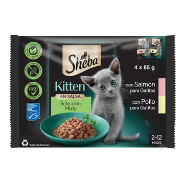 Whiskas Sheba Kitten Mix Alimento Húmedo 4420g