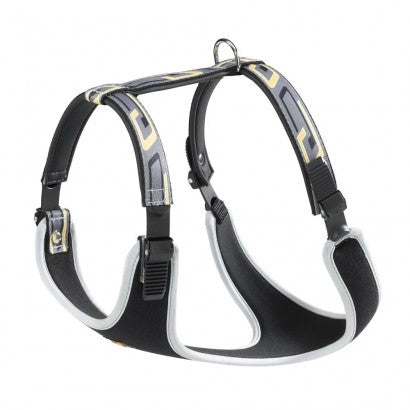 Youpet Arnes Little Co1F Oro A16 C350/24-30 P500/39-45 1un