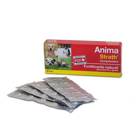 Stangest Anima Strath Complemento Alimenticio 40g