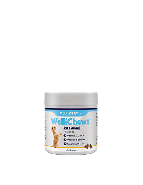 Swedencare Wellichews Masticables Multivitamínicos 60 u