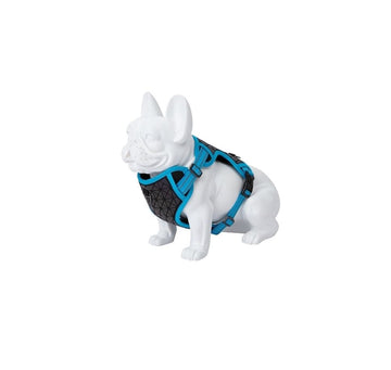 Freedog Boreal Arnés Lumineux Azul 300g