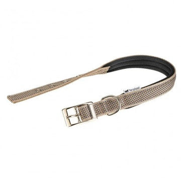 Youpet Correa Beach Oro L1100 A22 1un