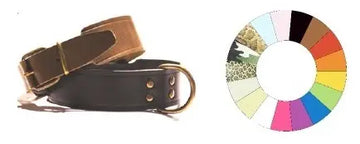 Youpet Collar Leather Bull Rj 35-44 L500 A40 1un