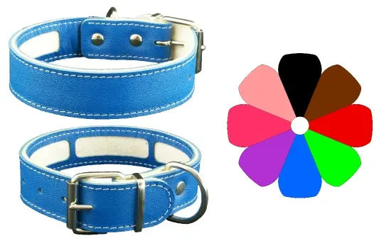 Youpet Collar Carrier Bco 63-72 L800 A40 1un