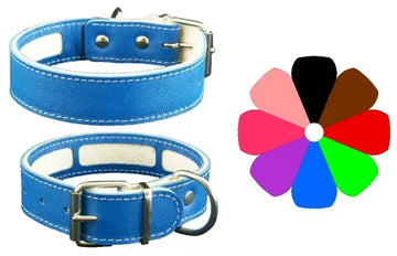 Youpet Collar Carrier Bco 63-72 L800 A40 1un