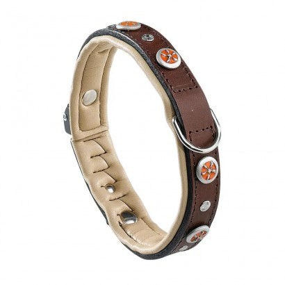 Youpet Collar Little Co1F Leop 18-22 L250 A14 1un