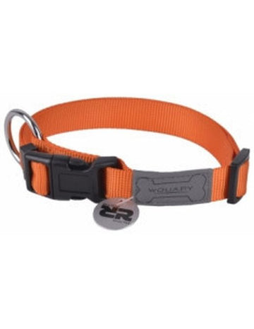 Ferplast Ergotattoo G15-120 Correa Naranja 2 ud