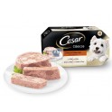 Cesar Multipack Selection Gelatin Dog Food 13 units