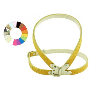 Youpet Petral Fant Oro C350 A12 P500 1un