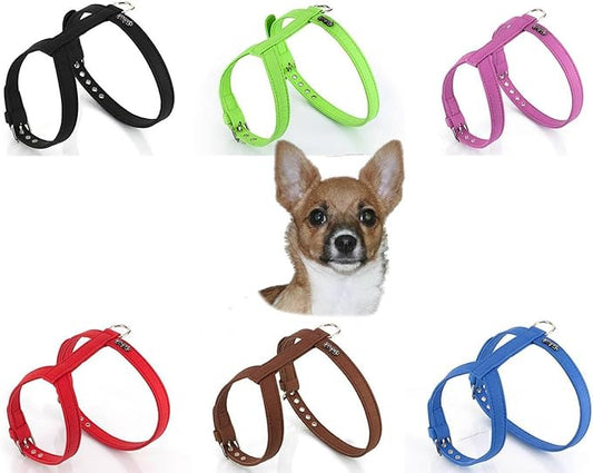 Youpet Arnes Elements Azul 40/45-50/60 A25 1un