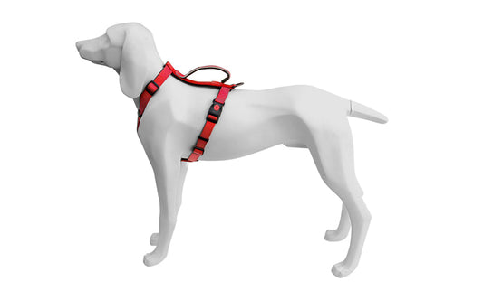 Freedog Extreme Arnés Rojo 1 ud