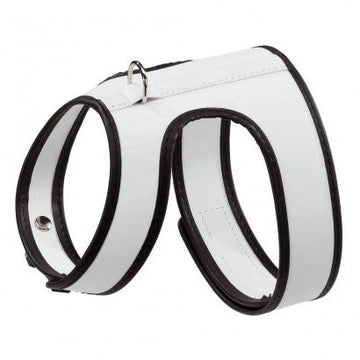 Youpet Arnes Little Fant Oro A12 C200/14-17 P350/24-30 1un