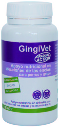 Stangest Gingivet Suplemento Nutricional 60 ud