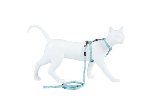 Freedog Correa Gato Reflectante Azul 120cm