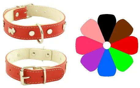 Youpet C. Mountain Westy Piel Oro Collar 1 ud