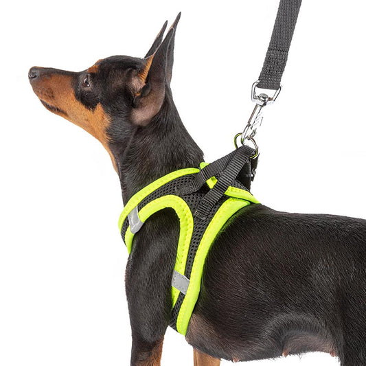 Ferplast Kaori P XL Arnés Negro con Detalles Amarillos 0.14kg