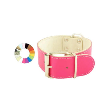 Youpet Collar Big Mountain Mr 25-35 L400 A40 1un