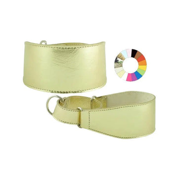 Youpet Collar Galgo Marting Estre Mimt 30-40 L400 A60 1un