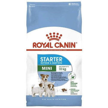 Royal Canin Mini Starter Pienso Seco 1Kg