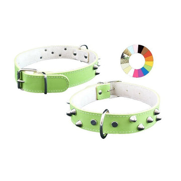 Youpet Collar Mountain Co3F Fuc 64-73 L800 A40 1un