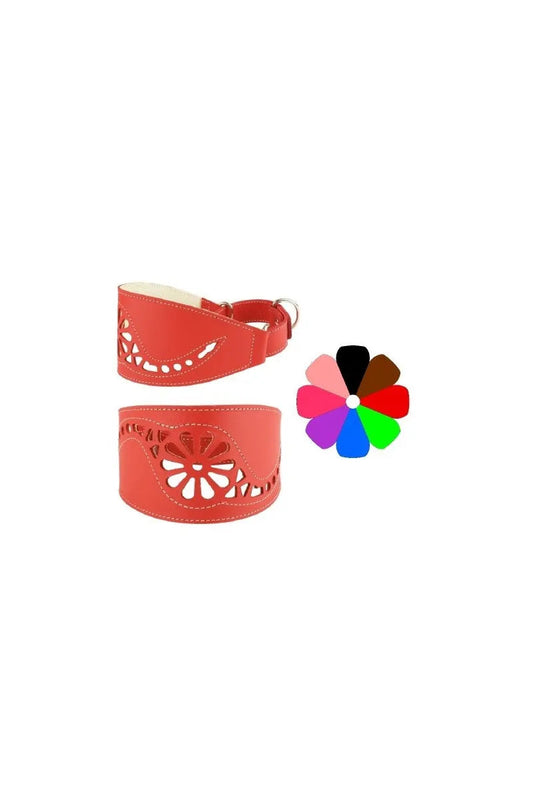 Youpet Collar Leather Galgo Marting Rj 25-35 L350 A80 1un