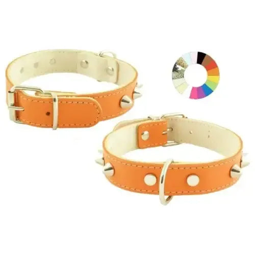 Youpet Collar Mountain Co1F Blanco 35-41 L450 A25 1un